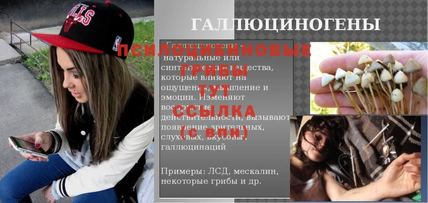 кокс Снежногорск