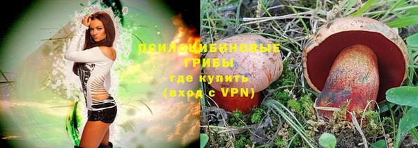 Альфа ПВП Снежинск