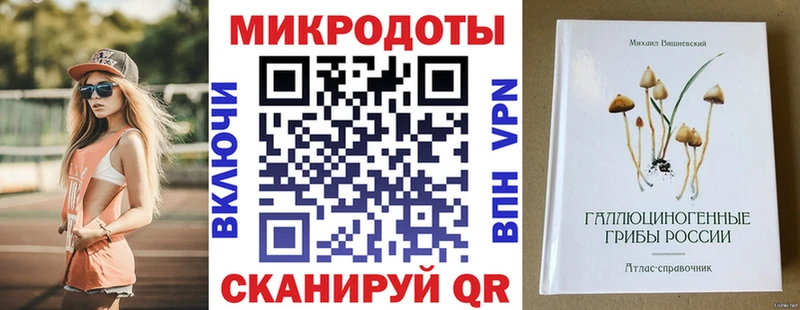 что такое наркотик  Кочубеевское  Галлюциногенные грибы Psilocybine cubensis 